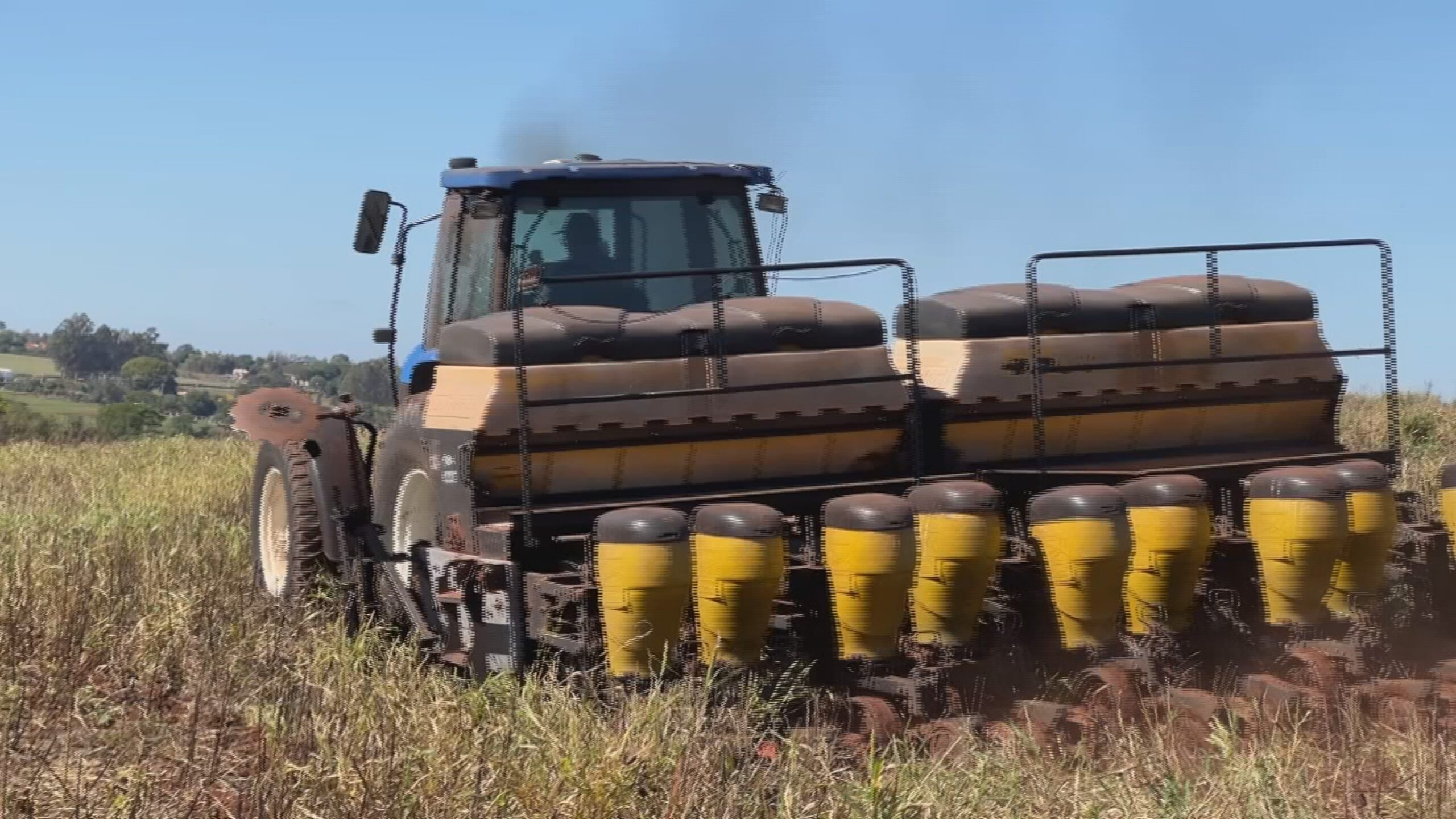 Plantio do milho segunda safra avança com chegada de chuvas