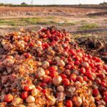 Projeto torna crime o descarte de alimentos aptos para consumo – Notícias