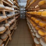 Turismo rural abre caminho para novas oportunidades nas queijarias – CartaCapital