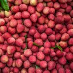 8 benefícios para a saúde e como usá-la na ceia de Natal – CartaCapital