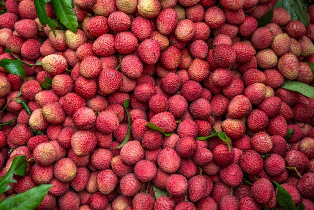 8 benefícios para a saúde e como usá-la na ceia de Natal – CartaCapital