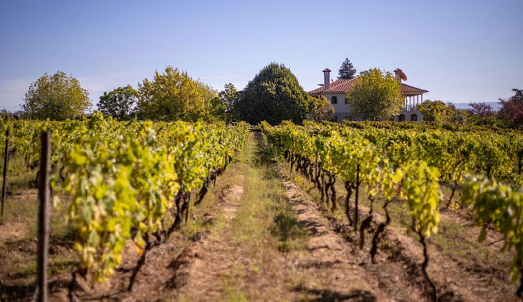 A águia brasileira que pousou no Dão – CartaCapital