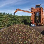 CMN amplia socorro a produtores afetados pelo clima – CartaCapital