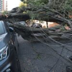 Comércio perde mais de R$ 50 milhões com falta de energia em São Paulo