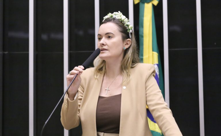 Discussão e votação da Lei de Diretrizes Orçamentárias. Dep. Julia Zanatta (PL - SC)