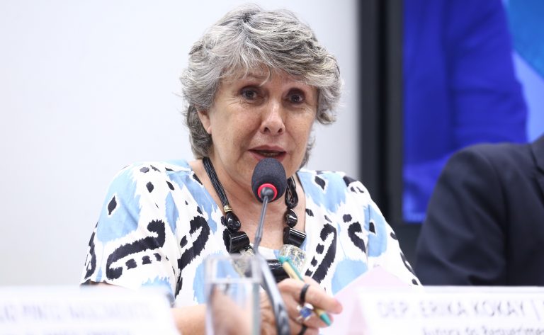 Audiência Pública - Regulamentação do teletrabalho no serviço público. Dep. Erika Kokay (PT-DF)