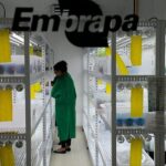 Entra em vigor lei que garante isenção de taxas para Embrapa – Notícias