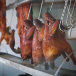 Gripe aviária pode gerar pandemia pior que a de Covid-19