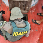 Ibama e Incra abrem inscrições para concursos com salários de até R$ 9,8 mil; veja como participar