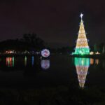 Maioria dos brasileiros não teme que discussões políticas atrapalhem o Natal, diz pesquisa – CartaCapital