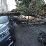 Mais de 800 mil clientes seguem sem luz na Grande São Paulo, afirma Enel – CartaCapital