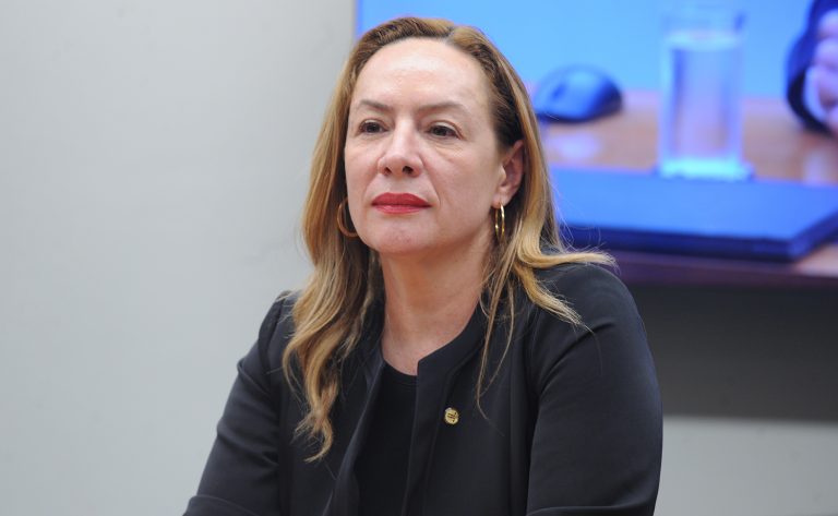 Deputada Delegada Adriana Accorsi (PT-GO) fala em comissão da Câmara dos Deputados