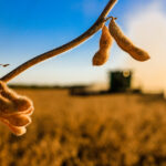 Recuperação judicial e falências podem ter novo recorde em 2026