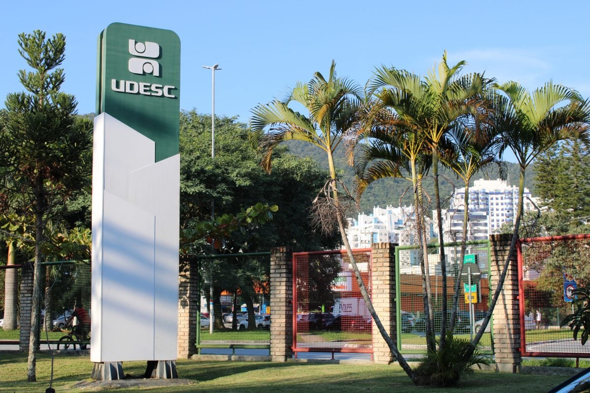 Santa Catarina aprova fim de cotas raciais em universidades estaduais – CartaCapital