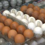 Tarifaço de Trump continua para ovos brasileiros e acaba com a disparada de vendas para os EUA