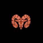 previsão para os 12 signos em 07/12/2025 – CartaCapital