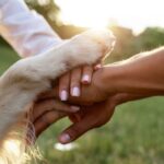 saiba como manter a convivência segura – CartaCapital