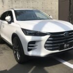 Câmara dos Deputados recebe 3 veículos BYD