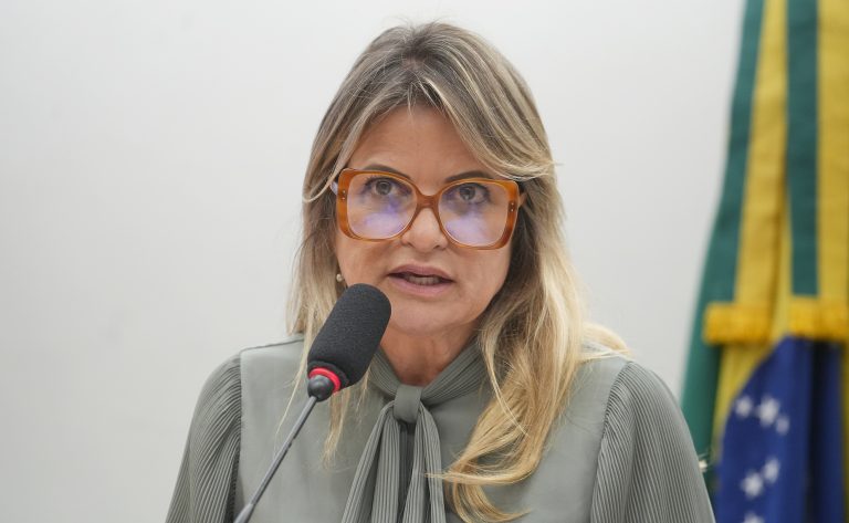 Deputada Flávia Morais fala ao microfone