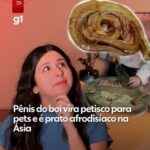 Frigoríficos lucram com venda de pênis bovino: órgão vira petisco para pets e é prato afrodisíaco na Ásia