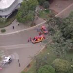 Queda de árvore no Parque do Ibirapuera deixa pessoas feridas – CartaCapital