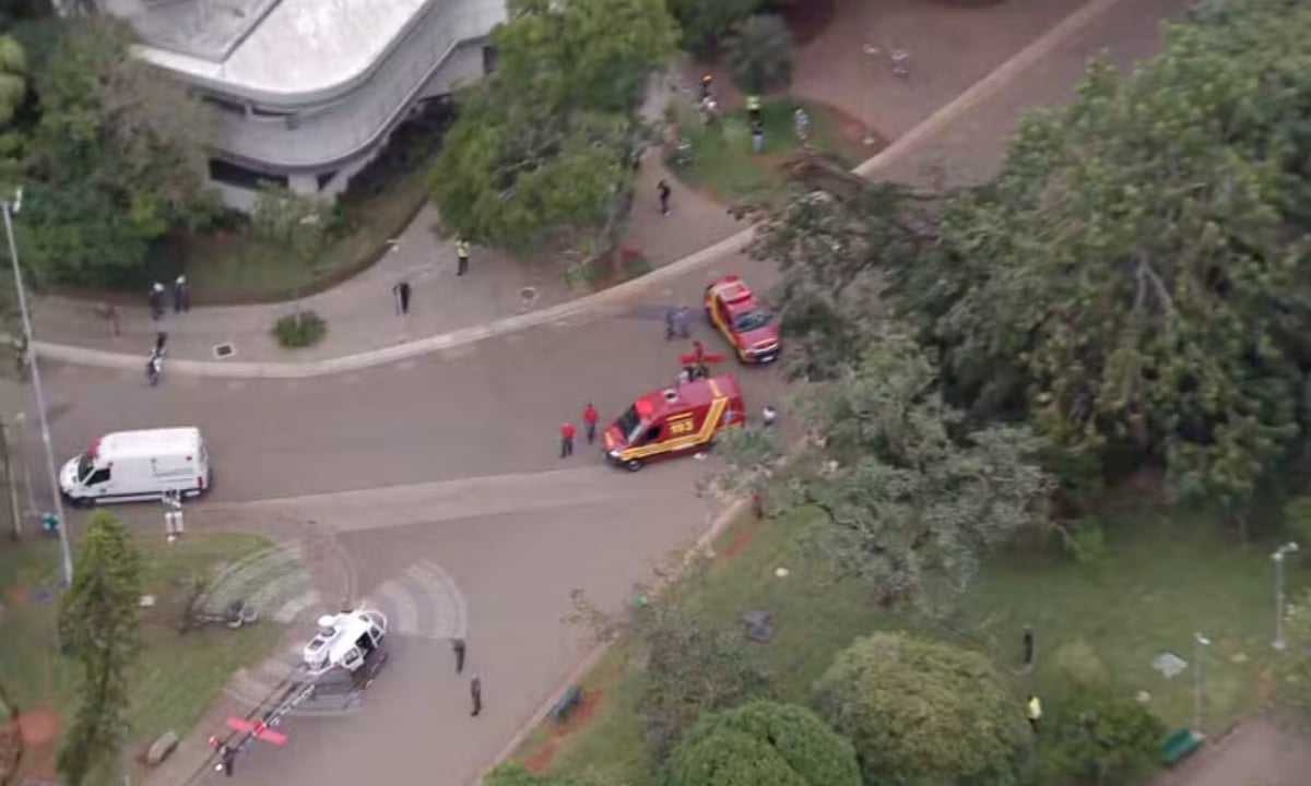 Queda de árvore no Parque do Ibirapuera deixa pessoas feridas – CartaCapital