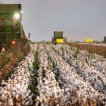 burocracia e custos para o produtor rural