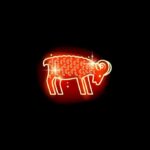 veja como cada signo gosta de celebrar a virada – CartaCapital