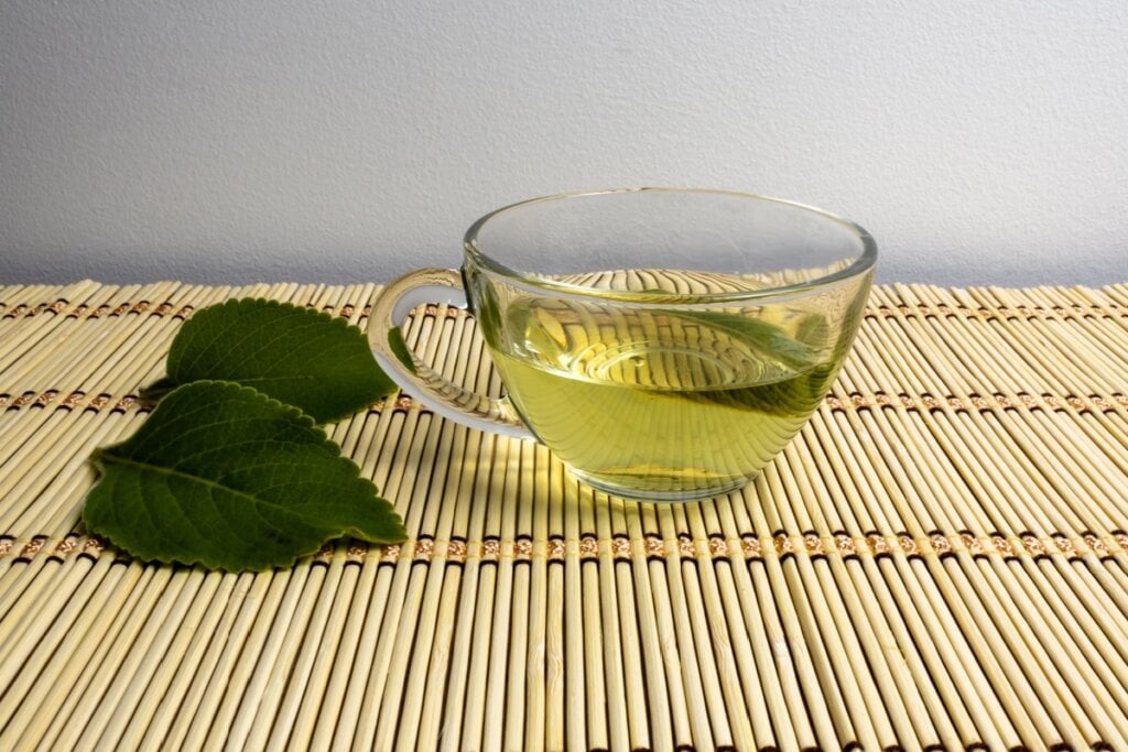 7 benefícios para a saúde e dicas de uso diário – CartaCapital