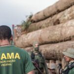 Alertas de desmatamento caem 35% na Amazônia e 6% no Cerrado – CartaCapital