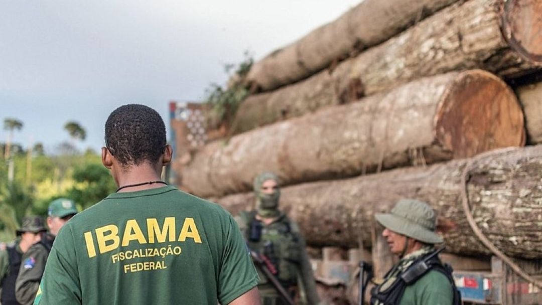 Alertas de desmatamento caem 35% na Amazônia e 6% no Cerrado – CartaCapital