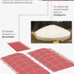 Cocô e xixi de porcos podem virar água potável (e até mesmo cerveja) com sistema de tratamento; entenda