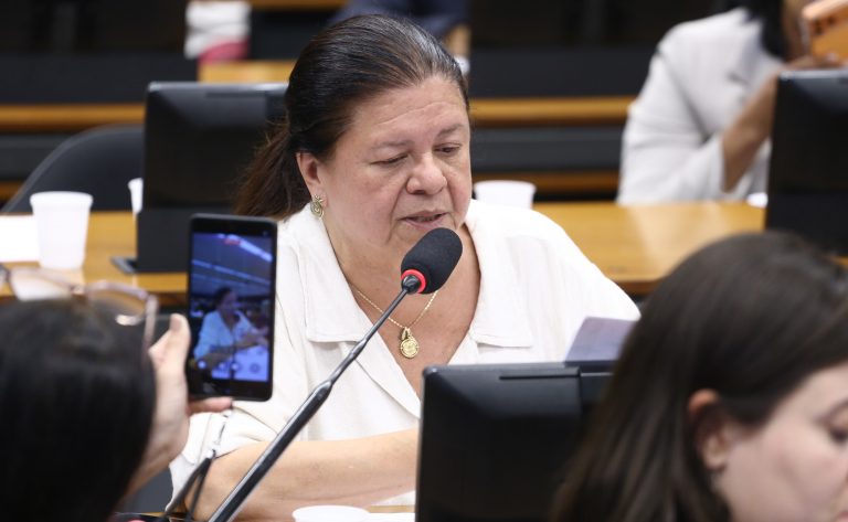 Discussão e votação de propostas legislativas. Dep. Laura Carneiro (PSD - RJ)