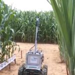 Coplacampo: Protetor solar para frutas e robô com IA em Piracicaba