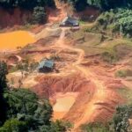 Governo lança edital para combate ao desmatamento na Amazônia – CartaCapital