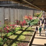 Justiça do DF nega pedido para suspender cotas trans na UnB – CartaCapital