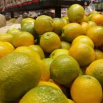 Laranja: chuvas derrubam qualidade das frutas e esfriam mercado paulista em janeiro, analisa USP
