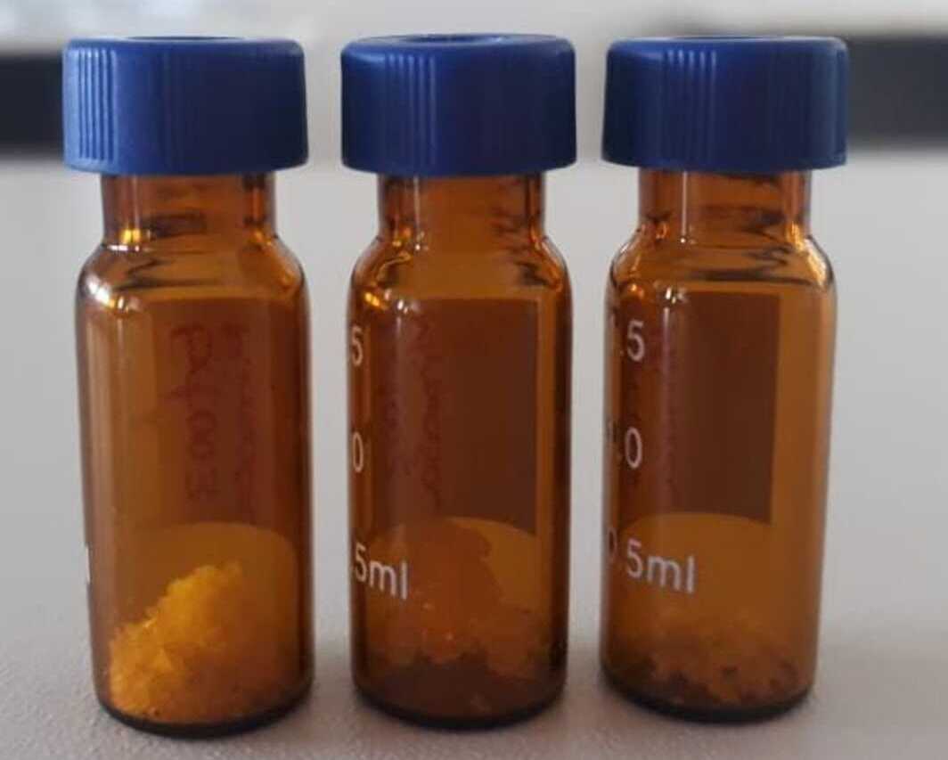 O corpo humano produz DMT no nascimento e na morte? Saiba o que diz a ciência – CartaCapital