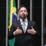 Projeto aumenta pena para maus-tratos a animais em canis e gatis clandestinos – Notícias