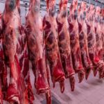 Trump assina decreto para aumentar importações de carne da Argentina, diz Casa Branca