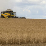 preço e falta de diesel já afetam colheita de arroz e soja